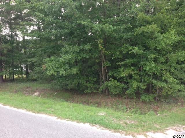 5 Fox Hollow Road Conway, SC 29526 - Photo 3 of 5 Gallery Image 3