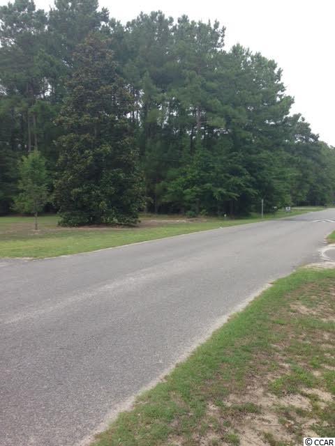 5 Fox Hollow Road Conway, SC 29526 - Photo 4 of 5 Gallery Image 4