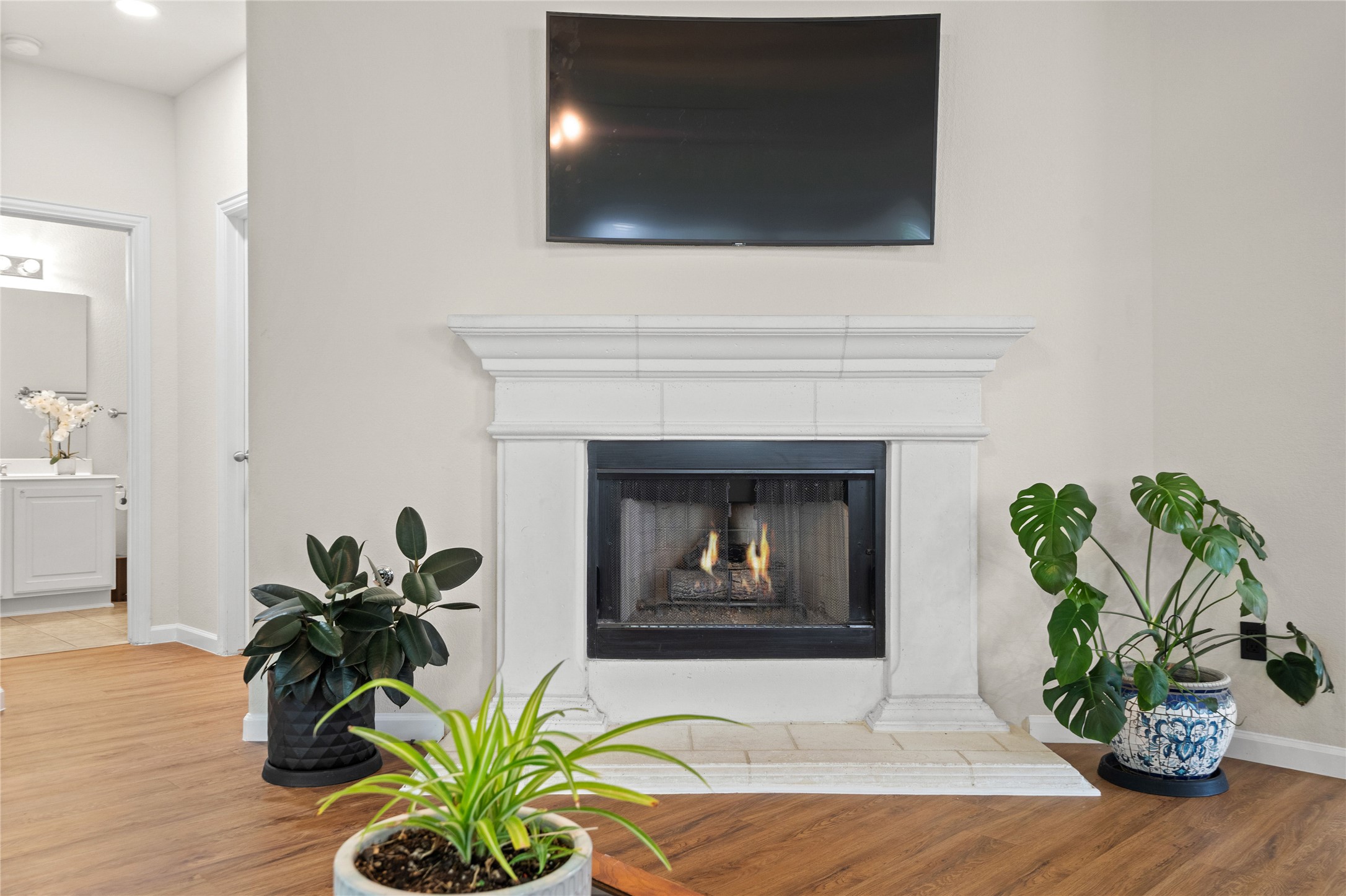 20825 Kearney Hill Road Pflugerville, TX 78660 - Photo 8 of 30 Gas Fireplace