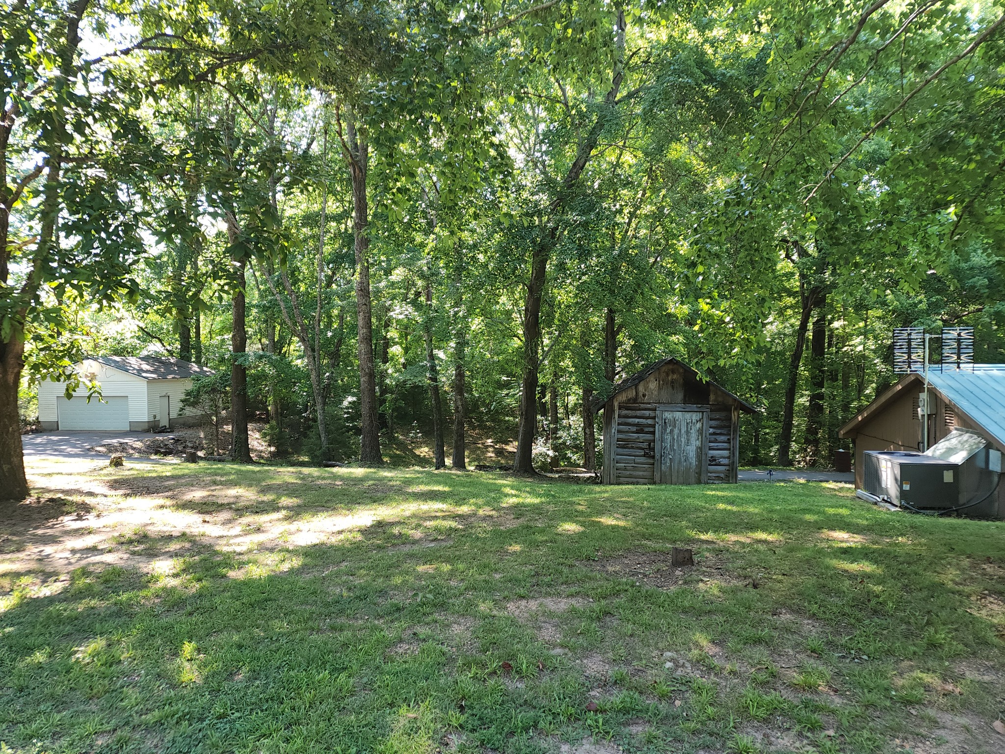 1035 West Point Road Lawrenceburg, TN 38464 - Photo 41 of 42 a view of a tree in a yard with large trees