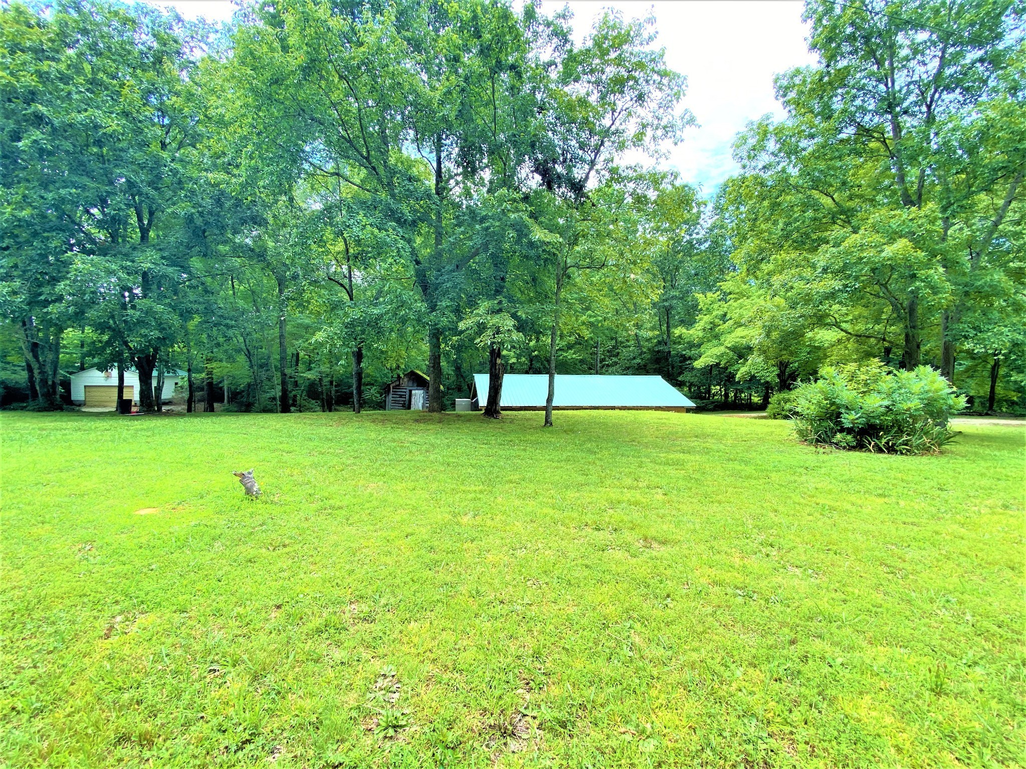 1035 West Point Road Lawrenceburg, TN 38464 - Photo 7 of 42 a view of green field with trees in the background