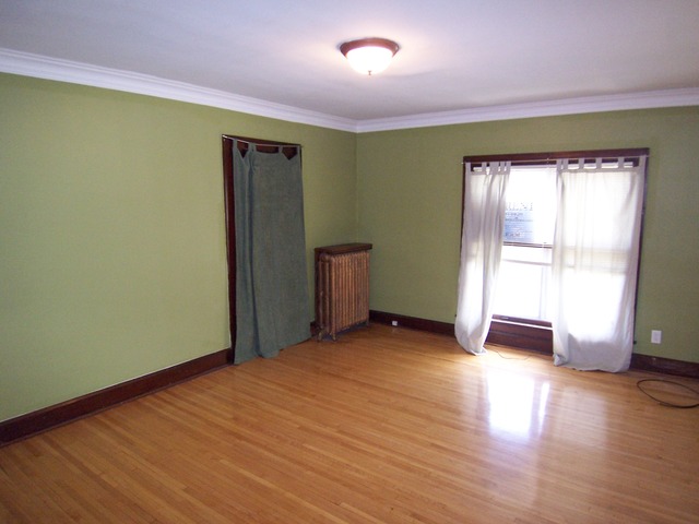 371 Fulton Street Elgin, IL 60120 - Photo 4 of 15 Gallery Image 4