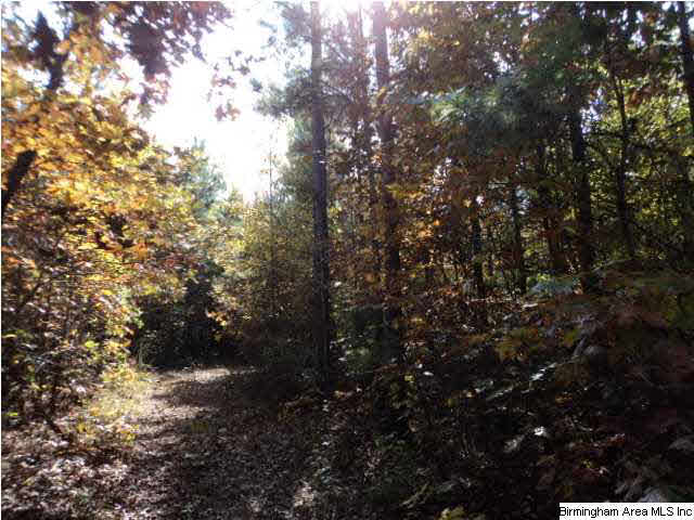 Blakes Ferry Road, Unit 77 Lineville, AL 36266 - Photo 12 of 18 Gallery Image 12