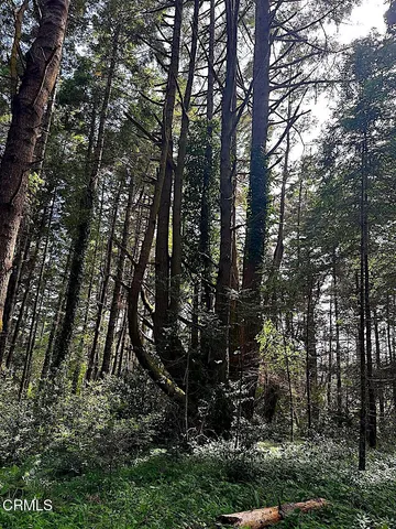 a view of a swimming pool with a yard