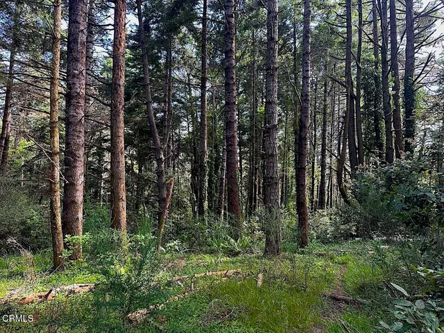 $420,000 | 10435 Clark Street, Mendocino, CA 95460