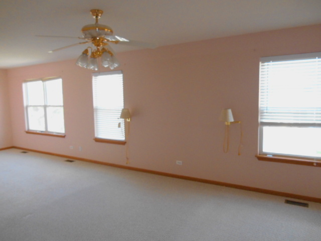 212 Baron Drive Spring Grove, IL 60081 - Photo 22 of 25