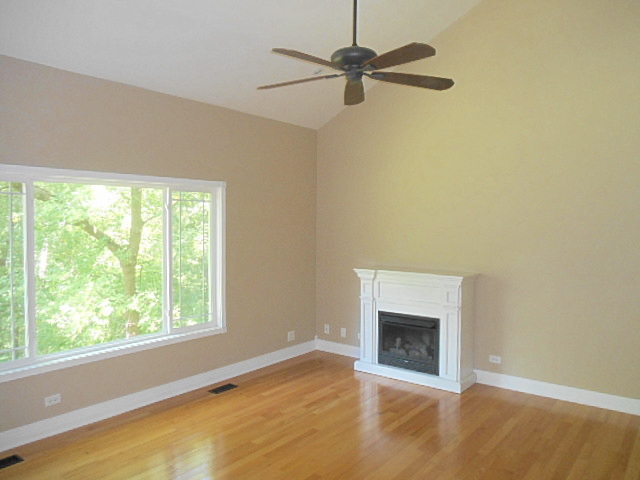 212 Baron Drive Spring Grove, IL 60081 - Photo 4 of 25