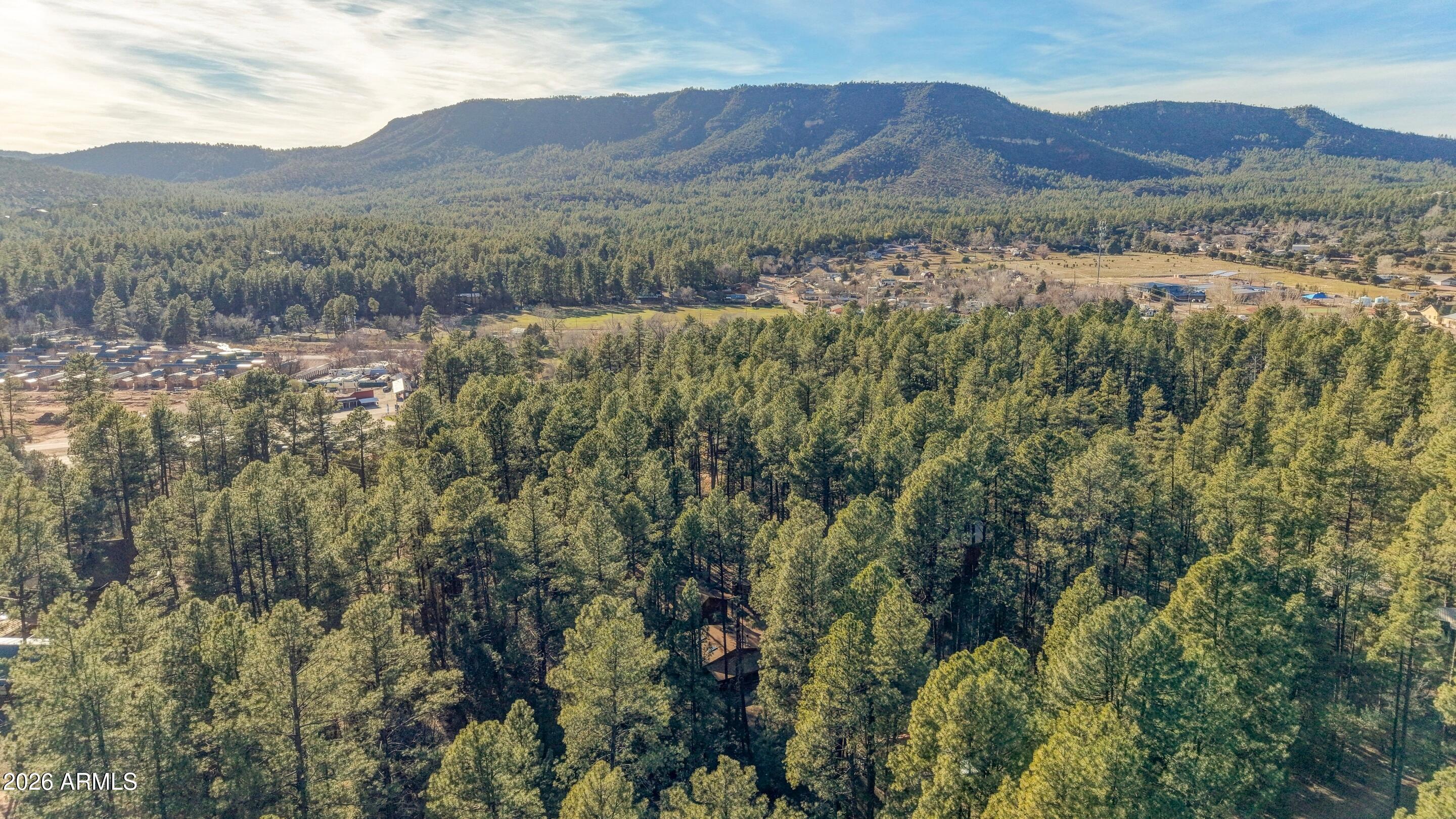 5920 Robin Way Pine, AZ 85544 - Photo 22 of 55 a view of a mountain range with lush green forest