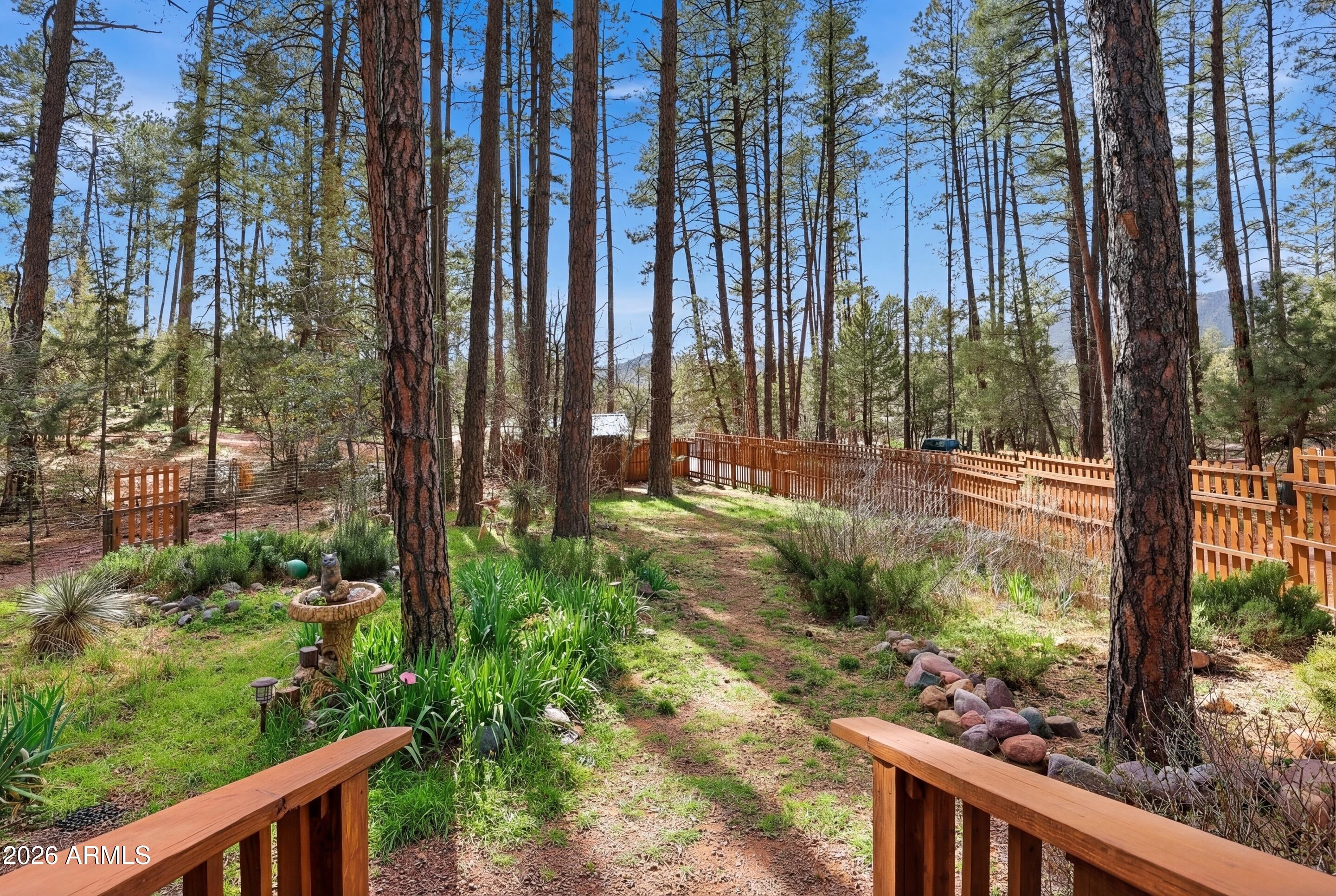 5920 Robin Way Pine, AZ 85544 - Photo 26 of 55 a view of a backyard with potted plants