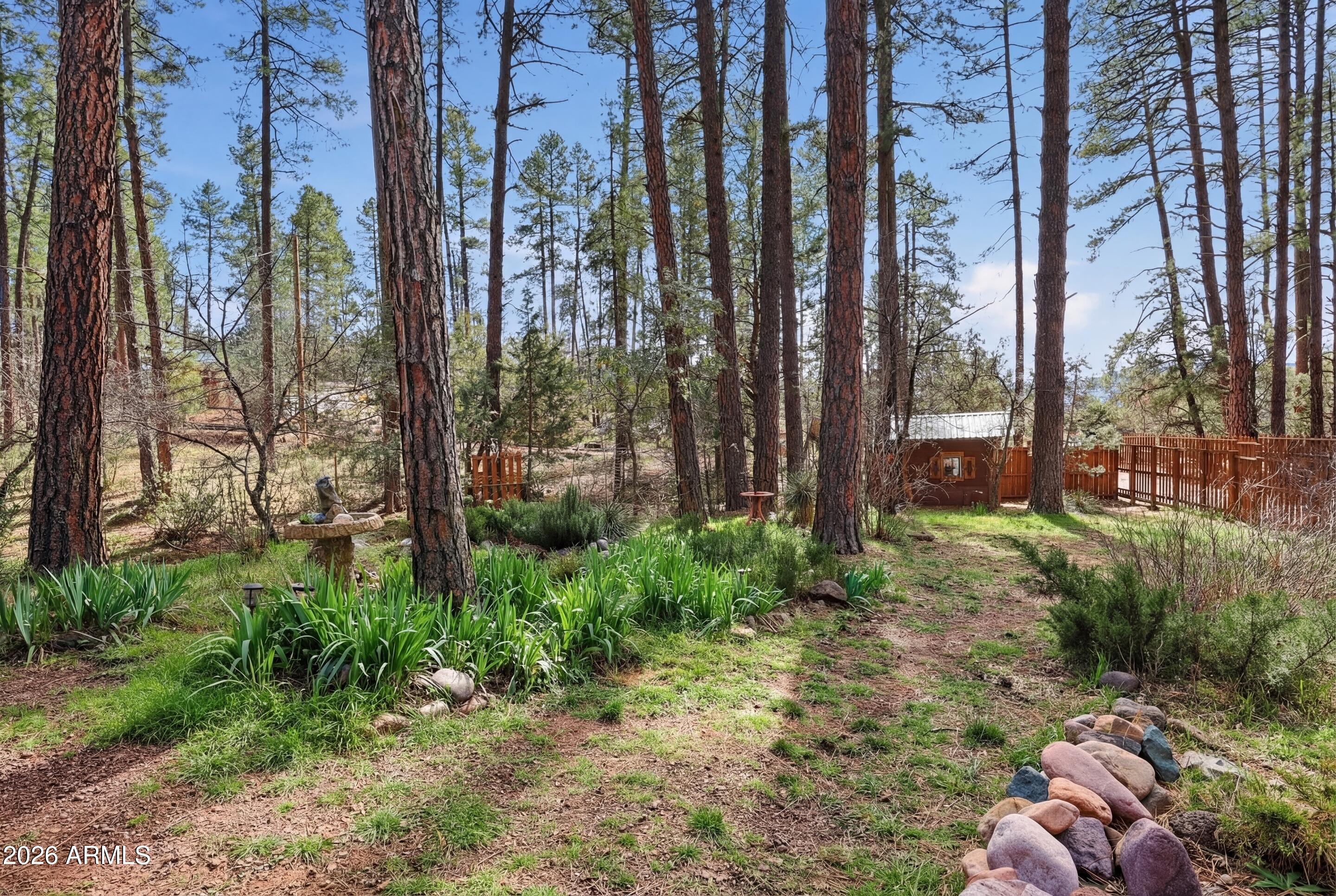 5920 Robin Way Pine, AZ 85544 - Photo 27 of 55 a backyard of a house with lots of green space