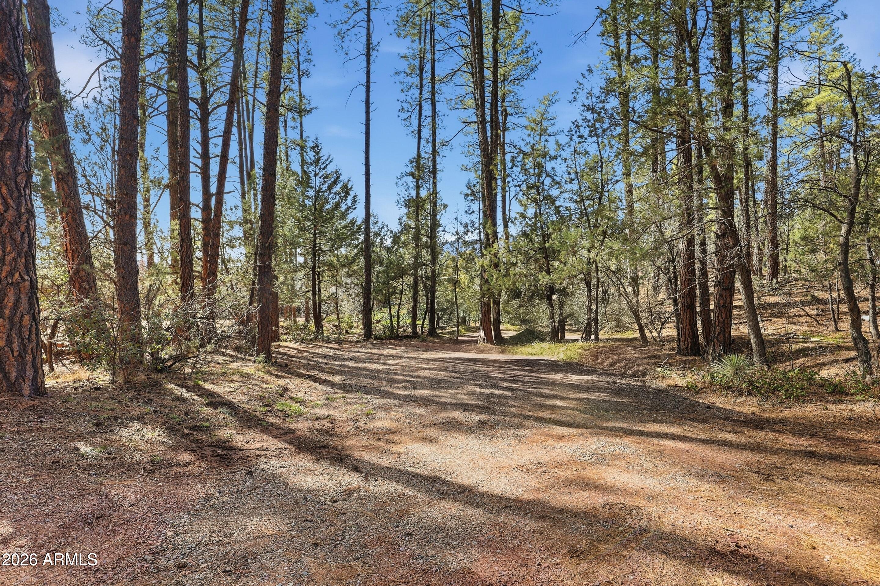 5920 Robin Way Pine, AZ 85544 - Photo 55 of 55 a view of road and trees