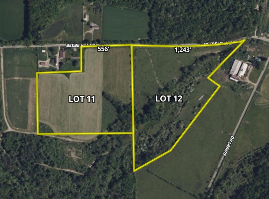 Lot 12 Beebe Hill Road Cuba, NY 14727 - Photo 9 of 13