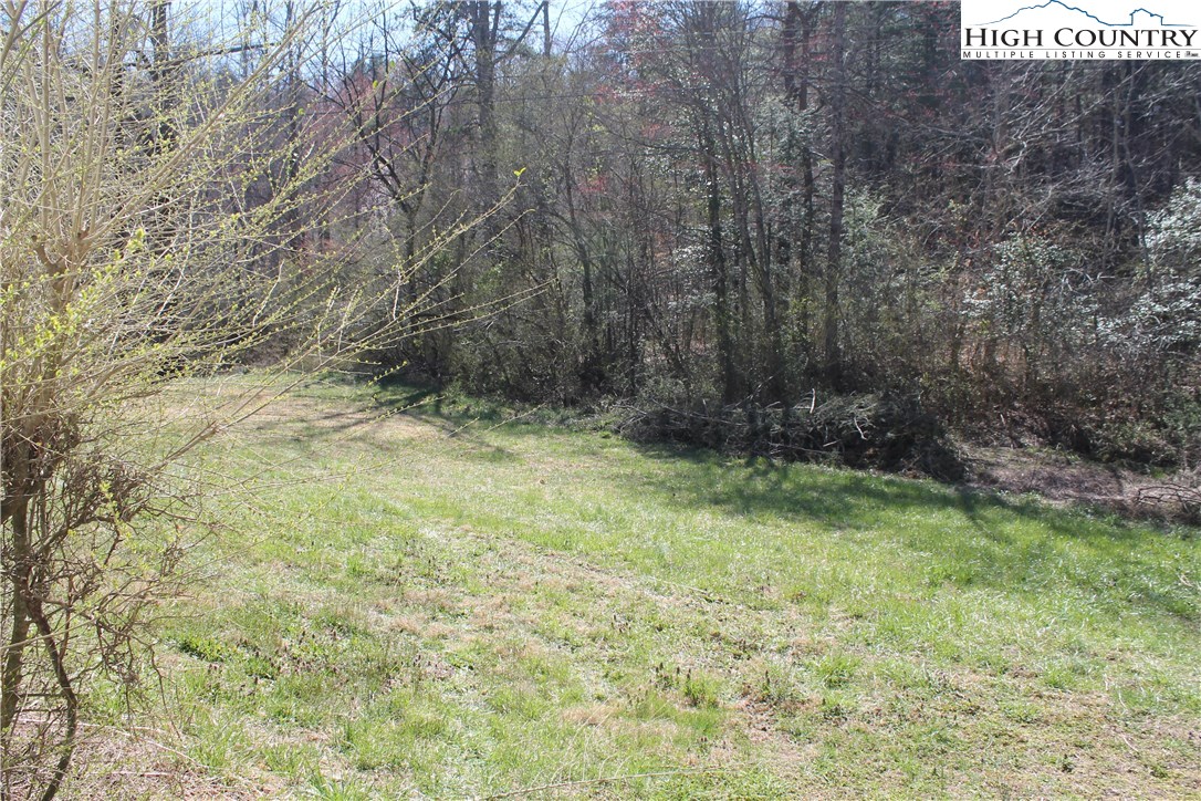 337 Bells View Lane Purlear, NC 28665 - Photo 14 of 16 Gallery Image 14
