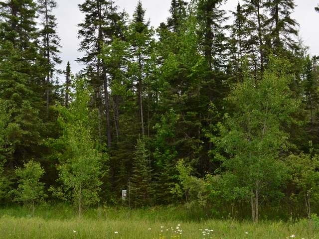 On Hillside Road Tomahawk, WI 54487 - Photo 7 of 9 Gallery Image 7