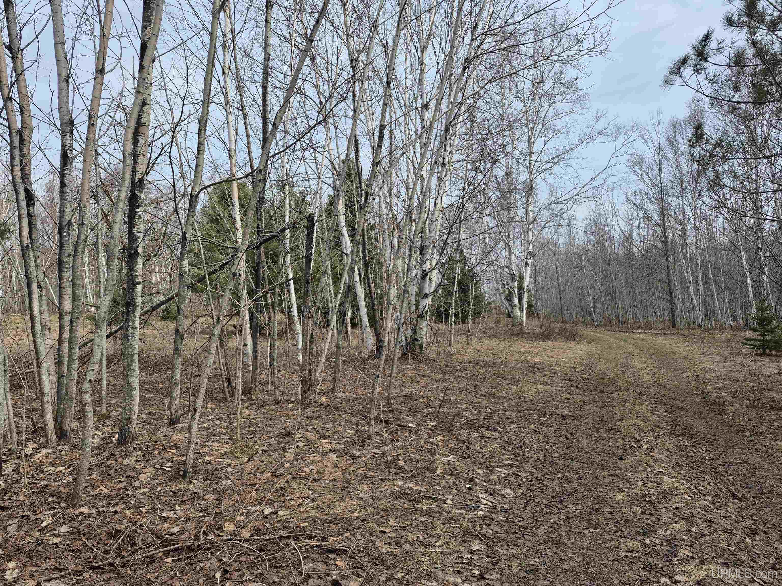 3754 Quarry Road Gulliver, MI 49840 - Photo 34 of 77