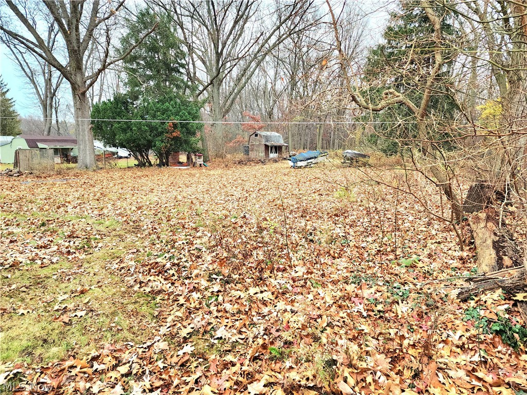4859 Manchester Road Akron, OH 44319 - Photo 4 of 16 Gallery Image 4