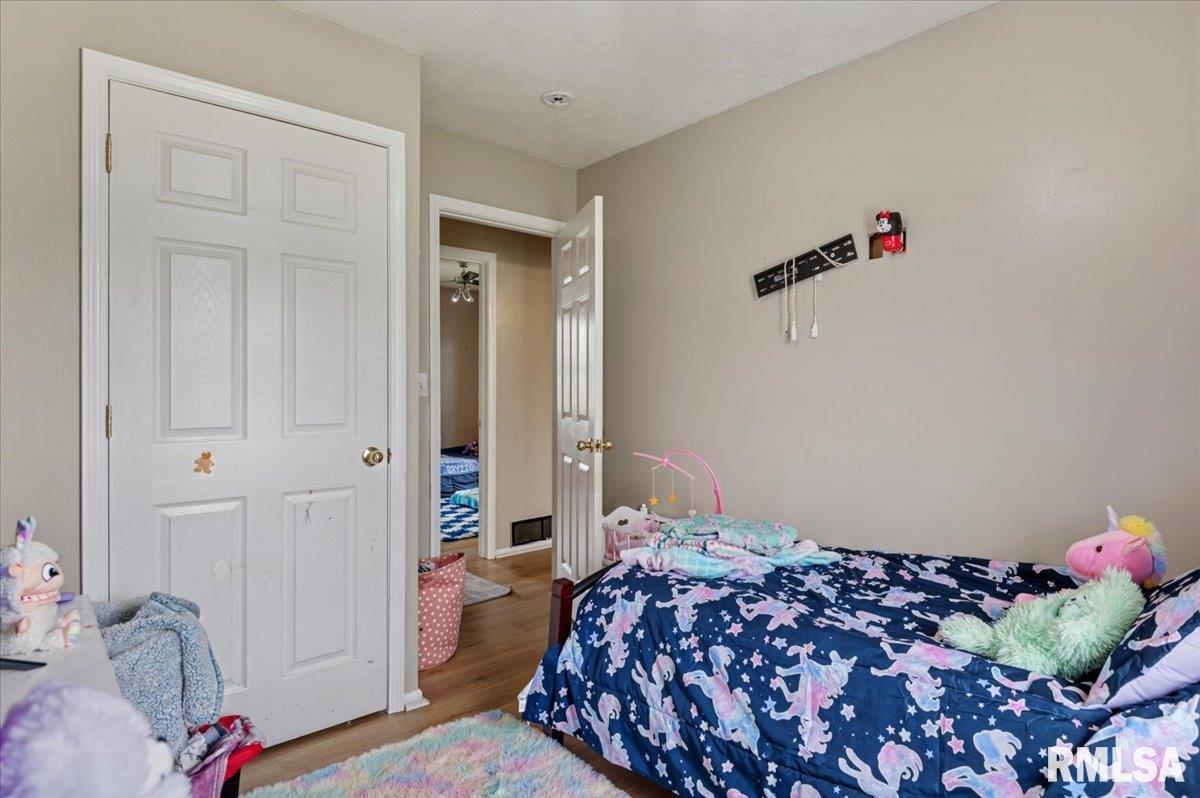 105 East Mill Street Rochester, IL 62563 - Photo 14 of 21