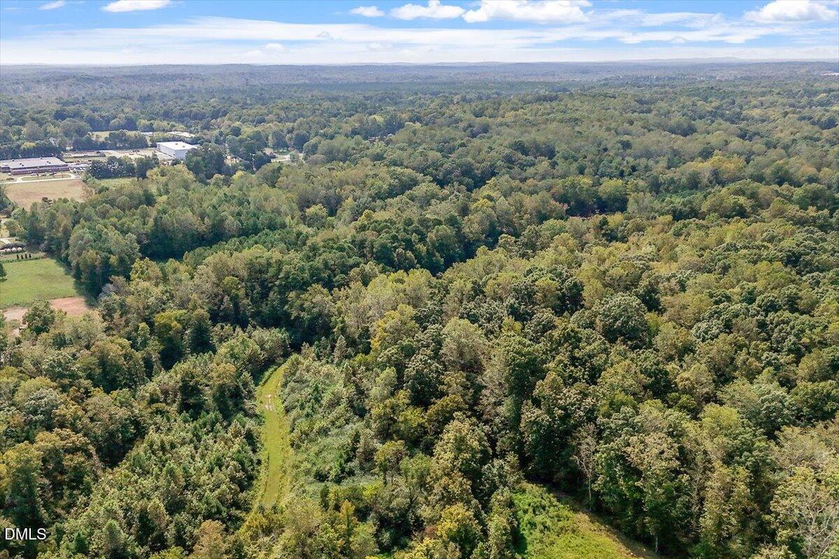 321 Efland - Cedar Grove Road Efland, NC 27243 - Photo 43 of 45 a view of a city with lush green forest