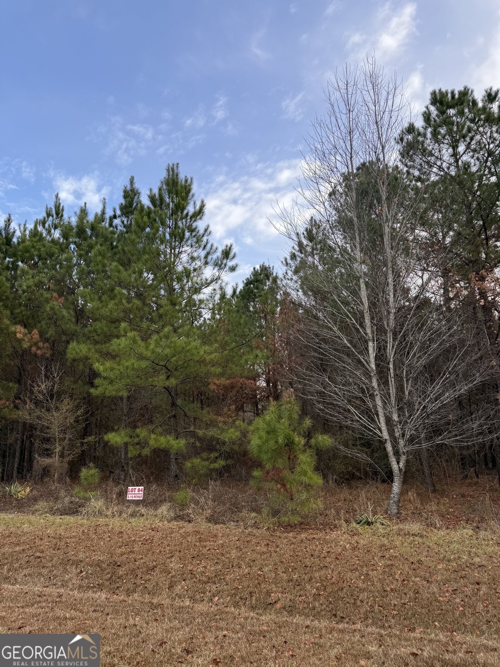 0 Muskogee Trl Road, Unit LOT 84 Dublin, GA 31021 - Photo 3 of 3 a view of a yard with a tree
