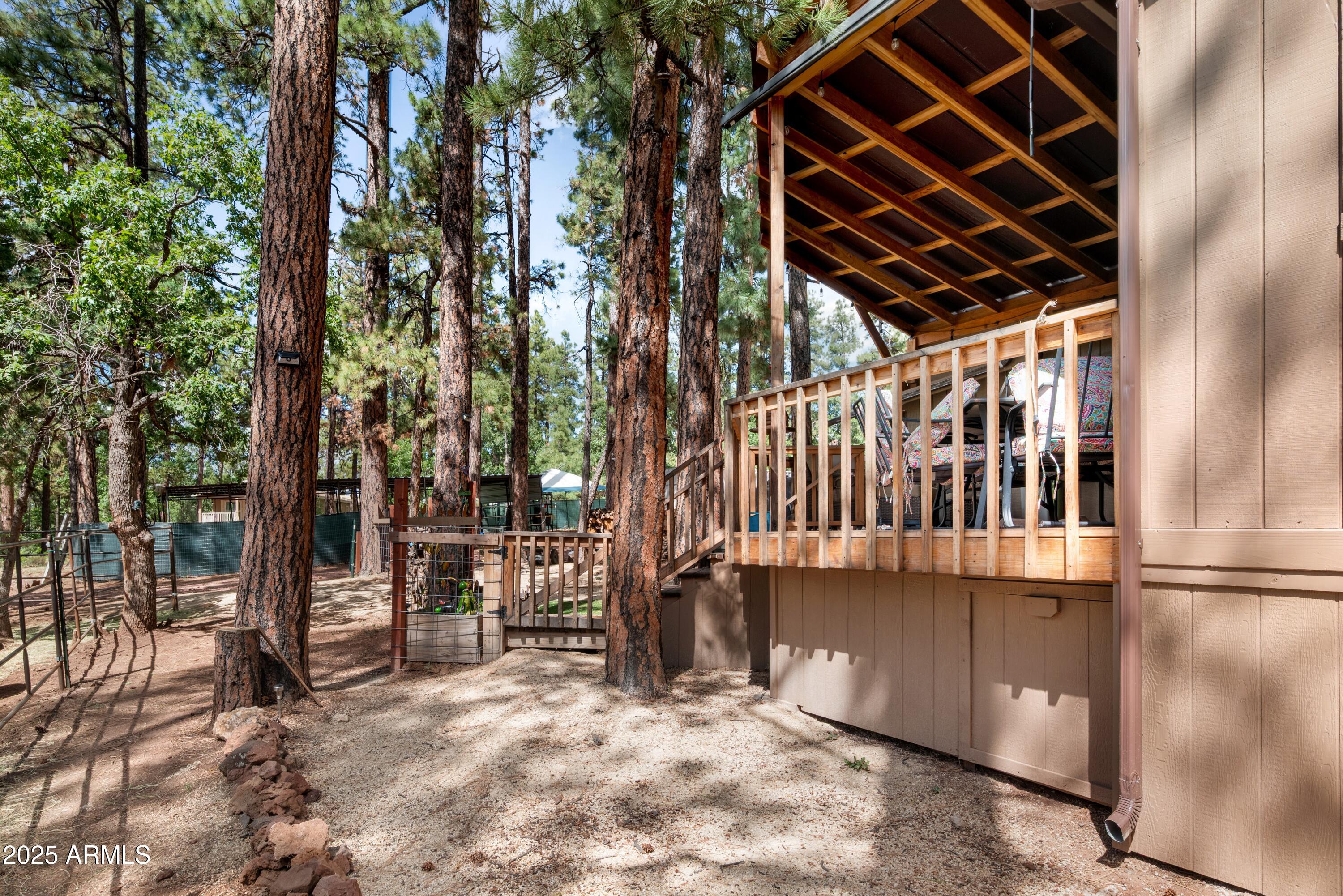 1659 Mormon Road Happy Jack, AZ 86024 - Photo 44 of 46 a view of porch with a small yard
