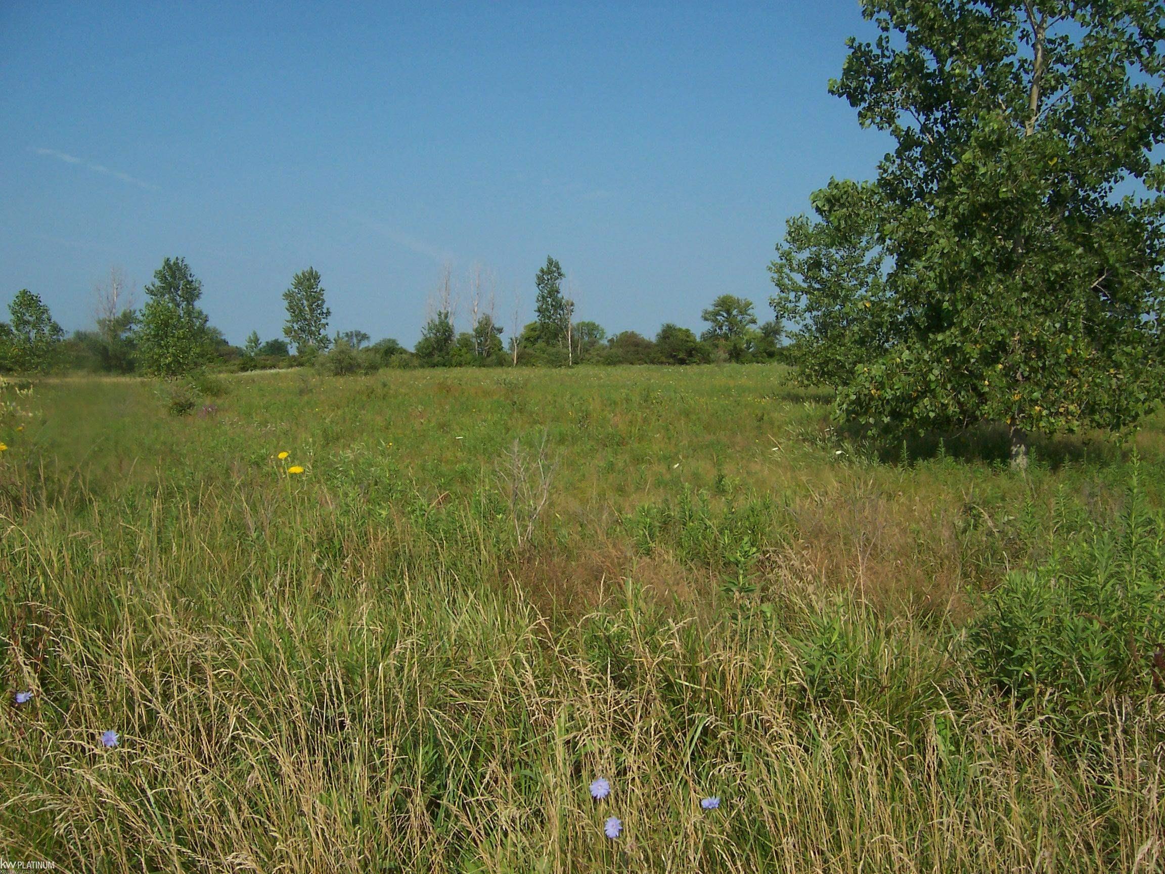 Vacant Minor Road Memphis, MI 48041 - Photo 3 of 3 Gallery Image 3
