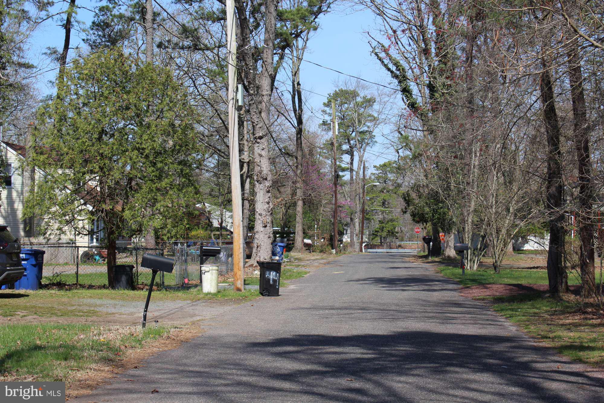 0 Exeter Street Browns Mills, NJ 08015 - Photo 4 of 5