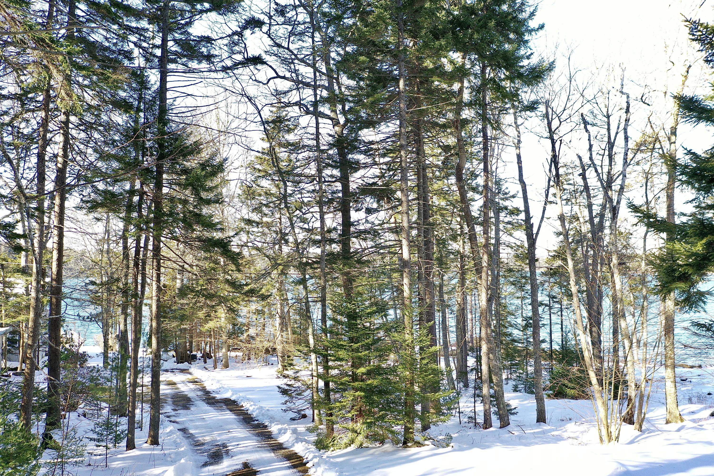 0 Soldiers Cove Road Pemaquid, ME 04558 - Photo 3 of 7 00 Solders Cove Road, Bristol