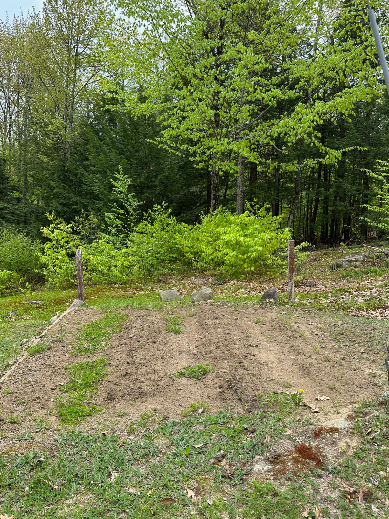 8 Youngs Road Canton, ME 04221 - Photo 57 of 67 IMG_7349