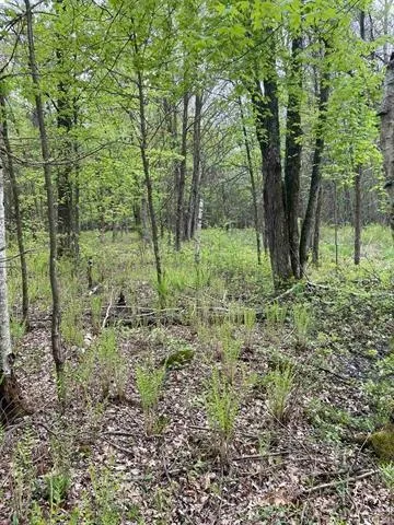 $60,000 | 1.18-acres Deer Run, Montello, WI 53949