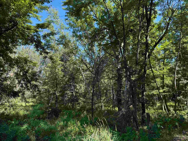 $60,000 | 1.18-acres Deer Run, Montello, WI 53949