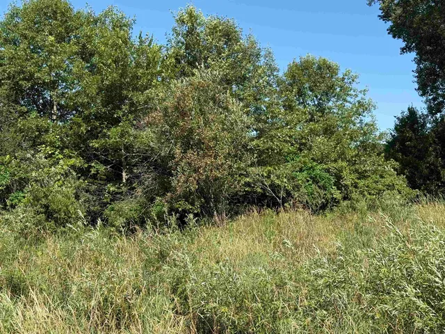 $60,000 | 1.18-acres Deer Run, Montello, WI 53949