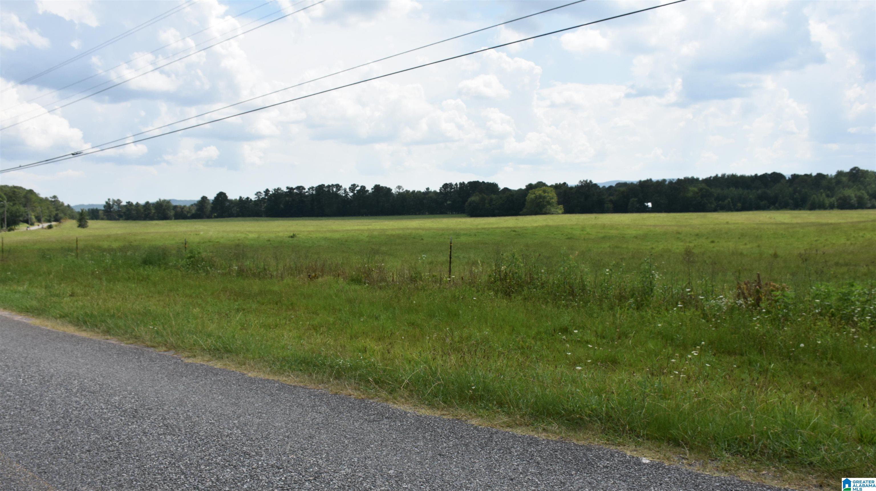 0 Risers Mill Road Alpine, AL 35014 - Photo 23 of 25
