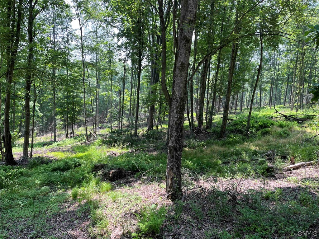 0 Gleason Hollow Road Belfast, NY 14711 - Photo 7 of 27 Gallery Image 7