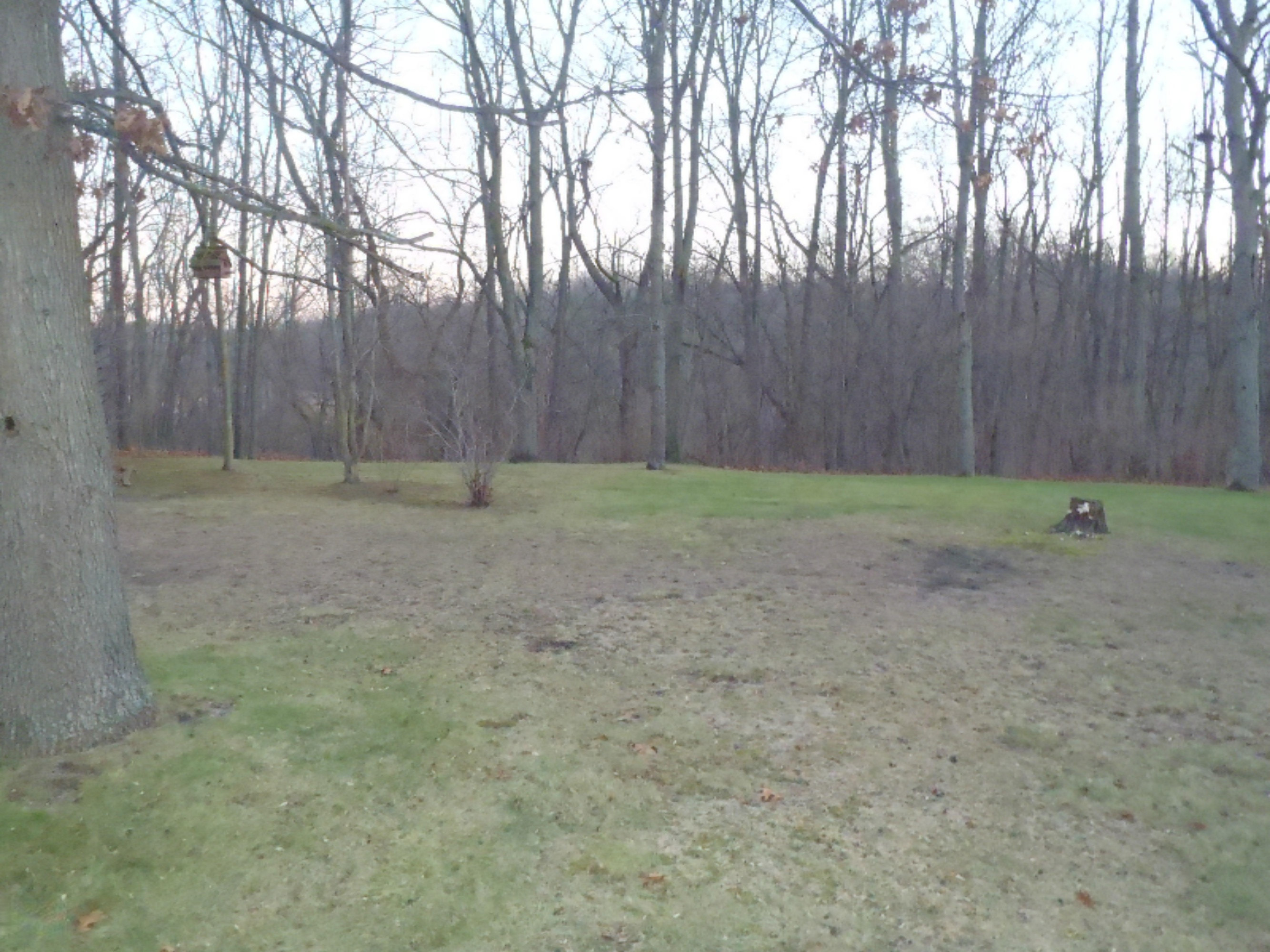 5757 Beecher Road Osseo, MI 49266 - Photo 3 of 12 PC041319