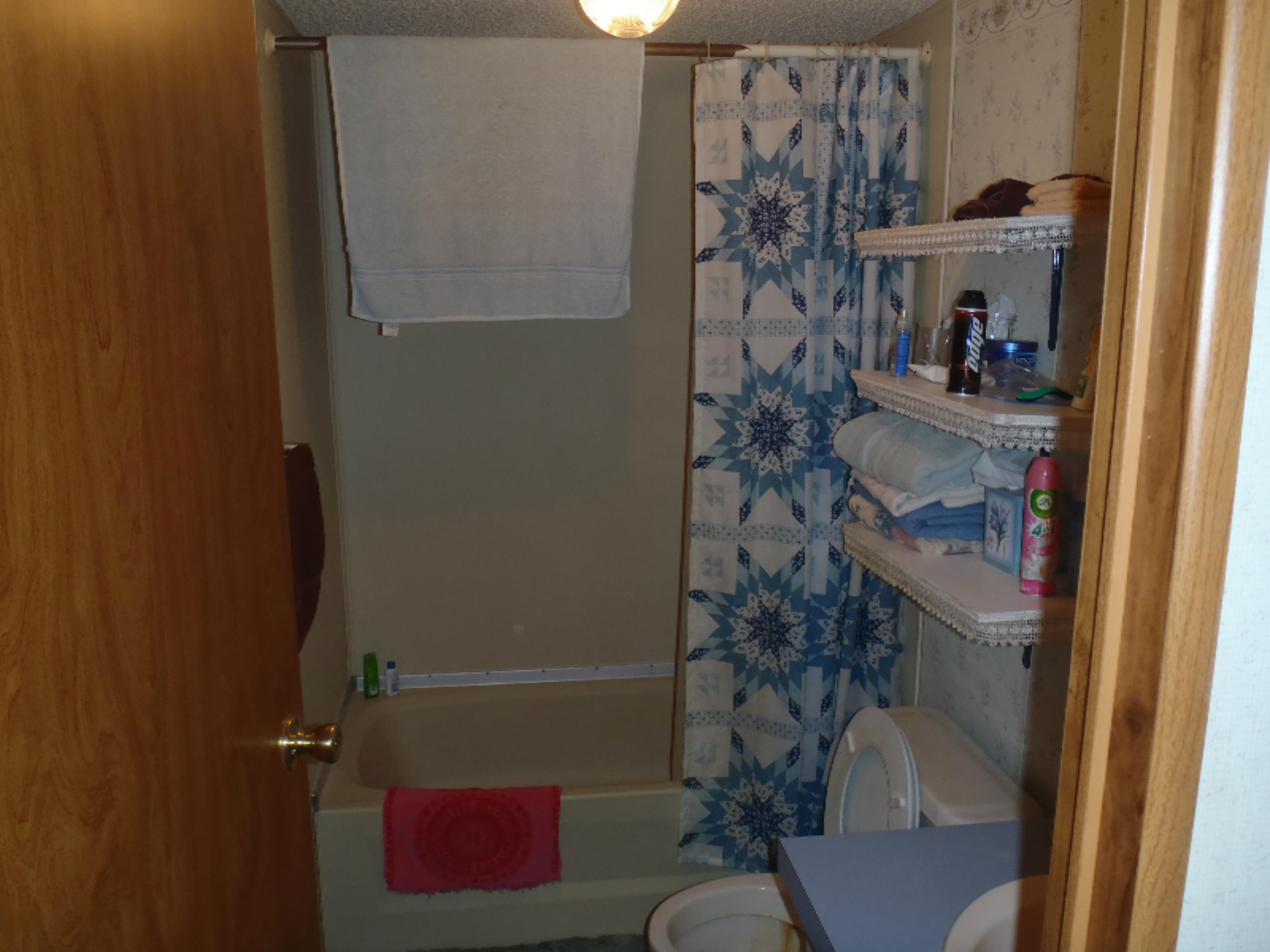 5757 Beecher Road Osseo, MI 49266 - Photo 10 of 12 PC041327