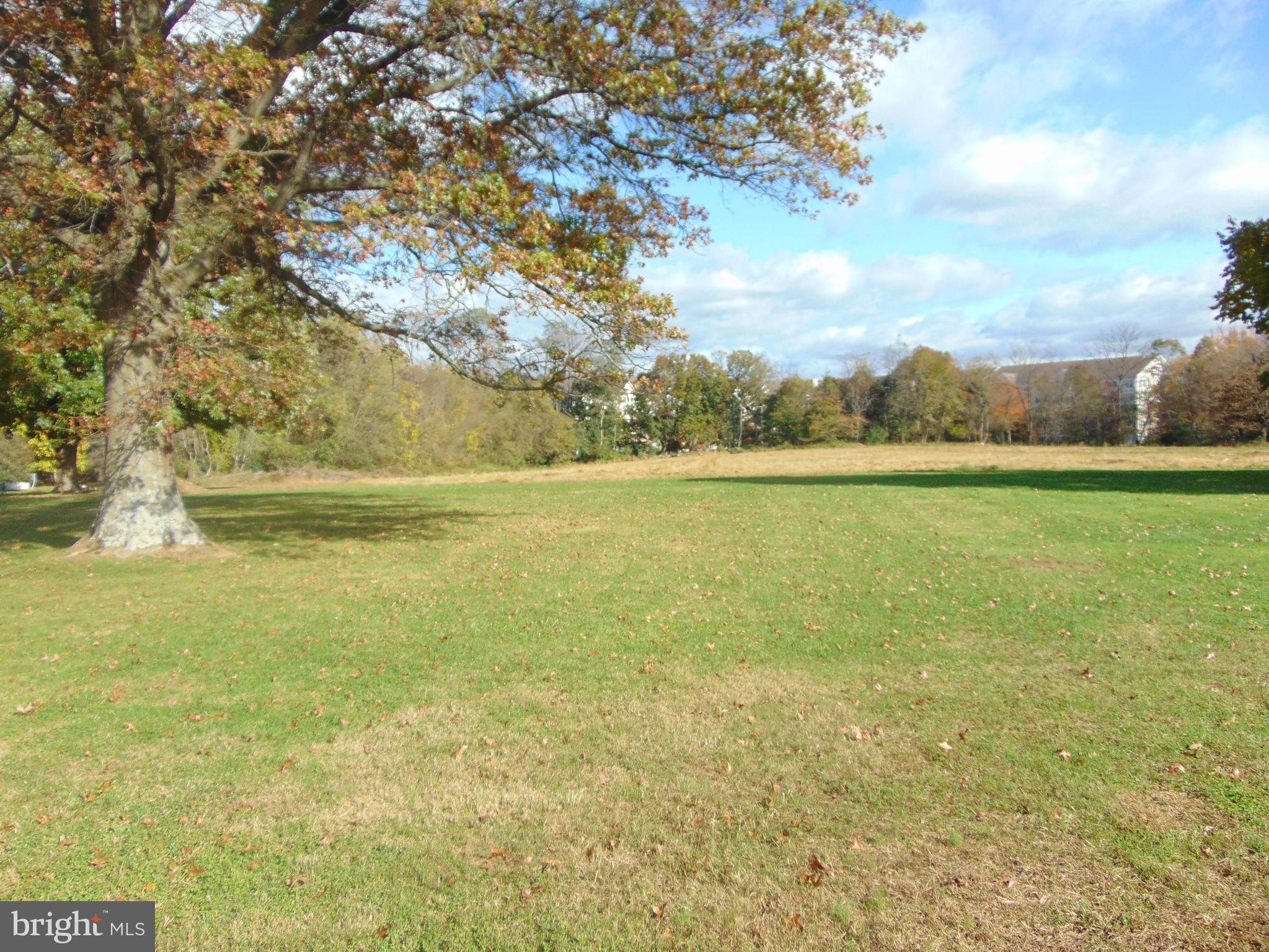 299 Reeceville Road Coatesville, PA 19320 - Photo 20 of 23