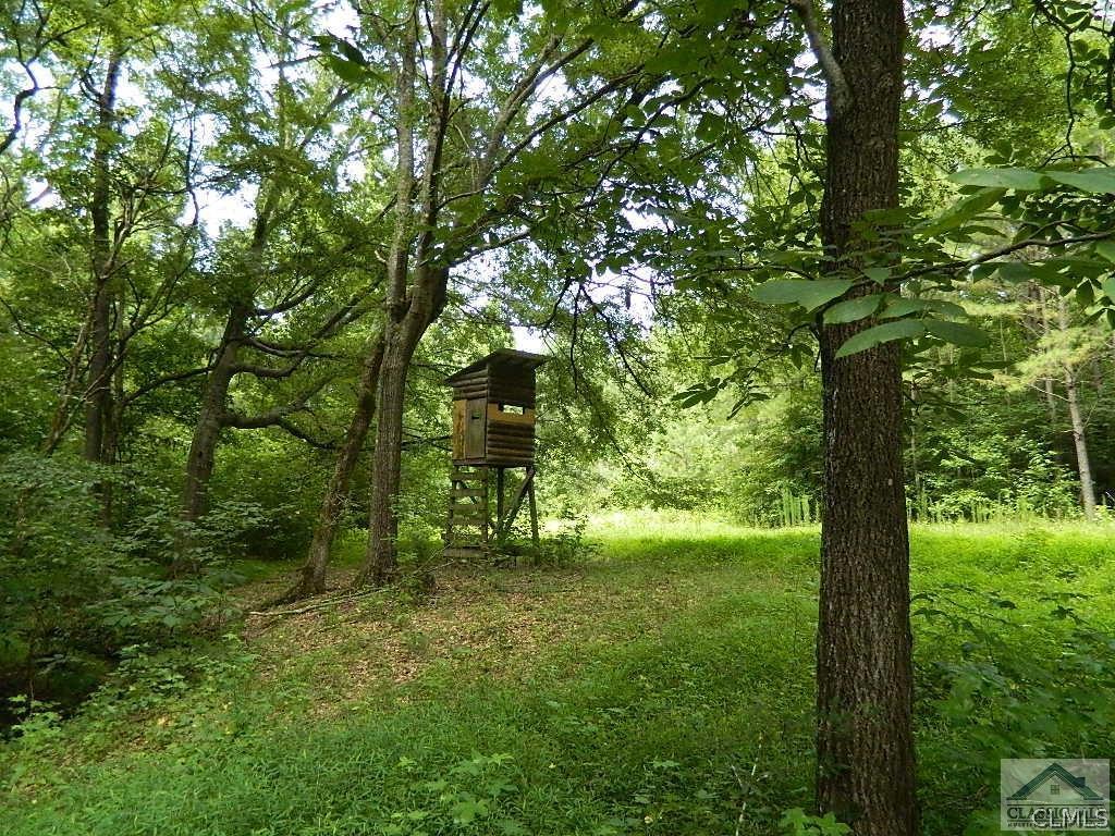 199 Young Road Rayle, GA 30660 - Photo 21 of 42 Gallery Image 21