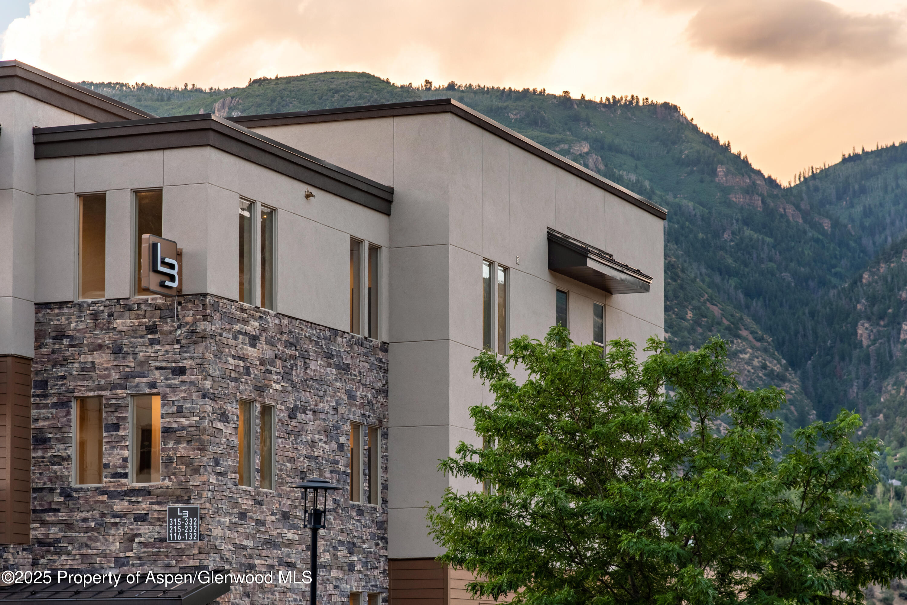 253 Wulfsohn Road, Unit 301 Glenwood Springs, CO 81601 - Photo 39 of 45