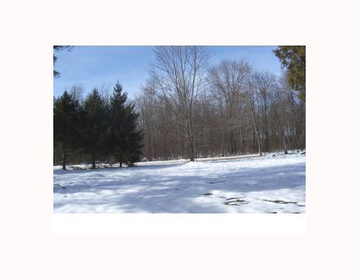 7984 Lesh Road Cooperstown, PA 16317 - Photo 5 of 7 Land/Lot.