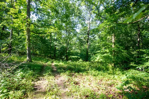 a backyard of a house with lots of plants