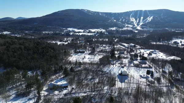 a view of a tree in a yard