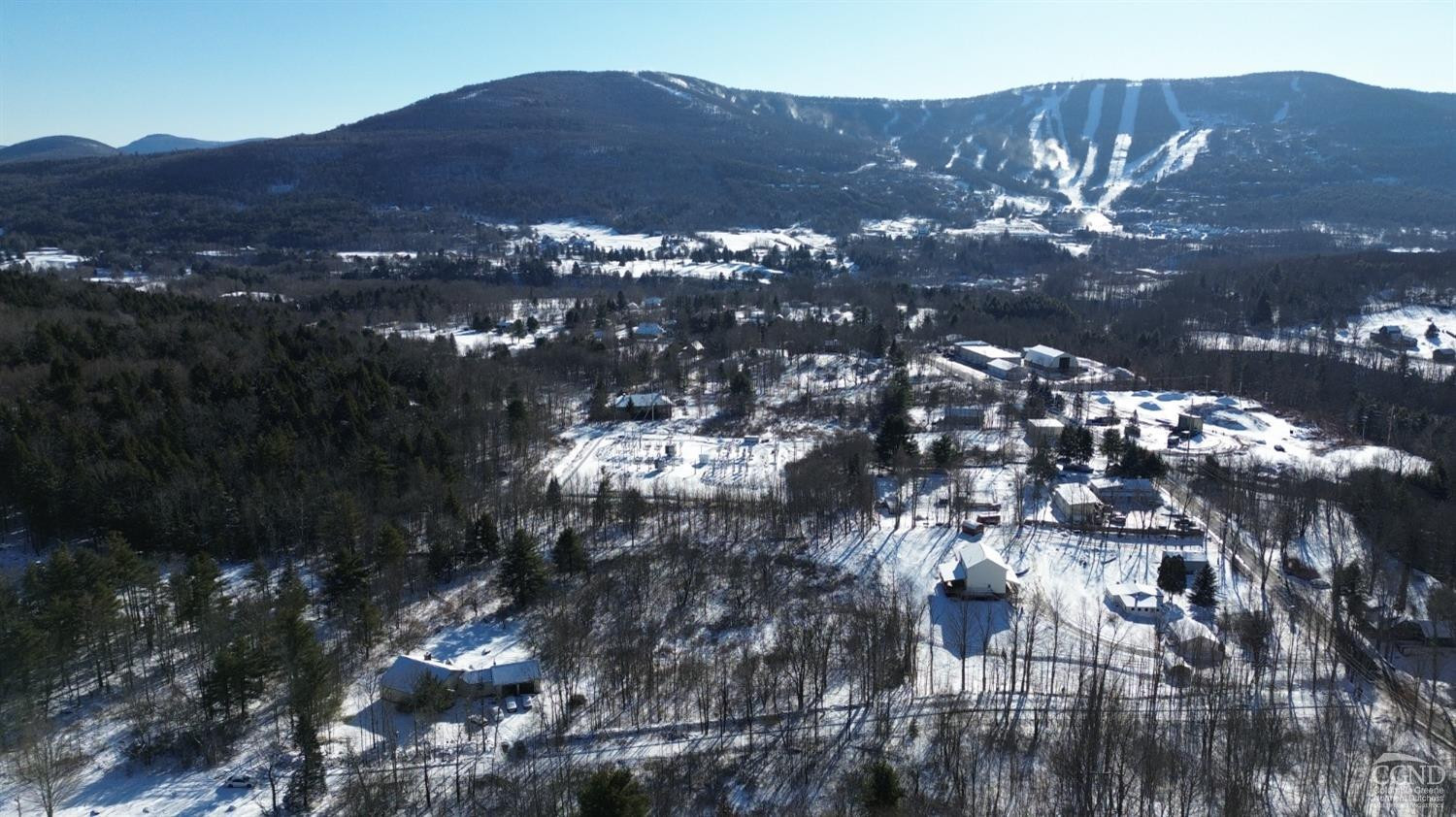 a view of a tree in a yard
