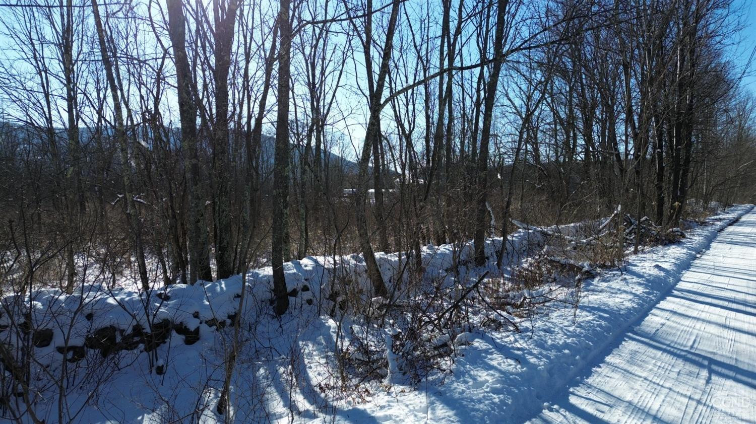 0 Trailview Lane Windham, NY 12496 - Photo 3 of 9 a view of outdoor space and yard