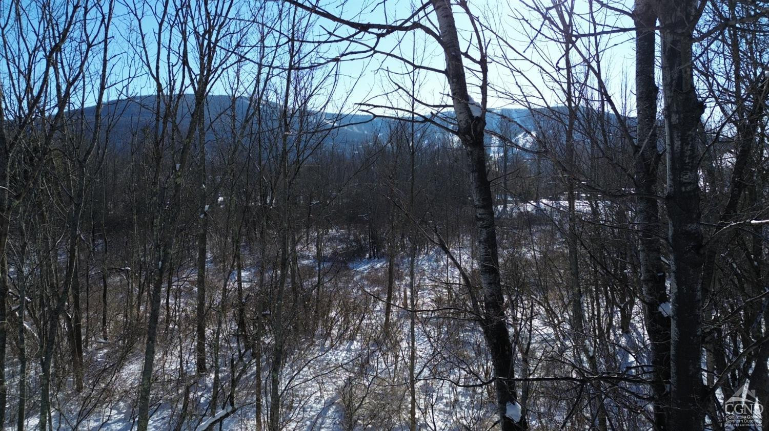 0 Trailview Lane Windham, NY 12496 - Photo 4 of 9 a backyard of a house with lots of green space