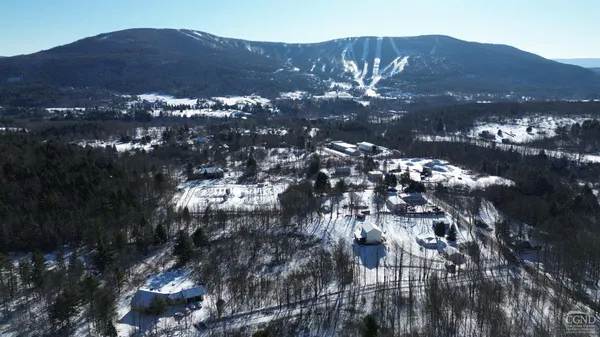 a view of a city with a mountain in the background