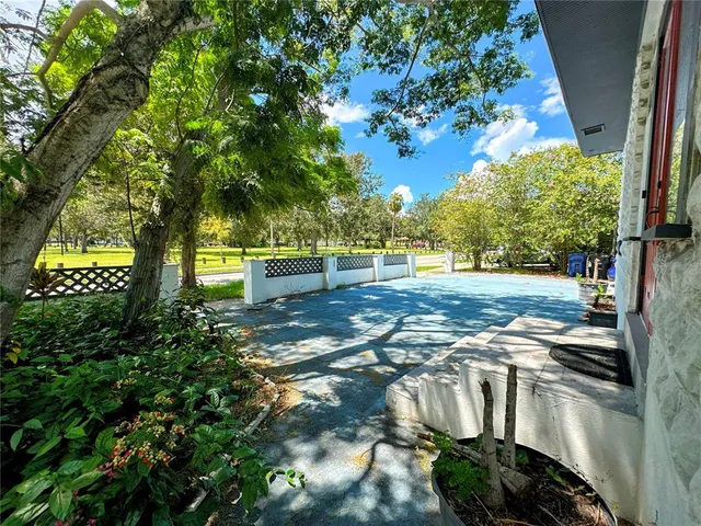 a view of a yard with plants and trees