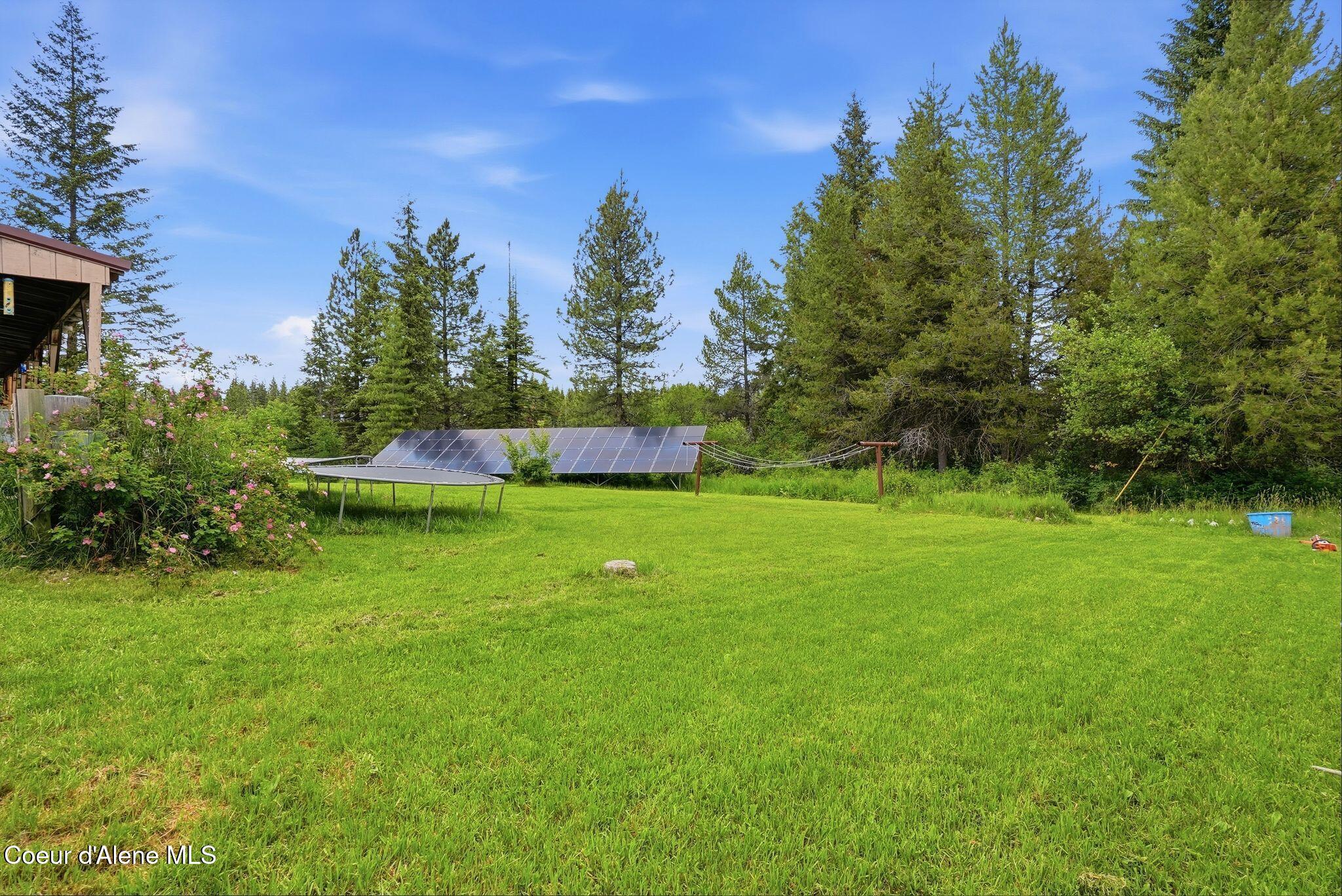 890 Pokey Creek Road Fernwood, ID 83830 - Photo 22 of 45 Grass & Mature Trees