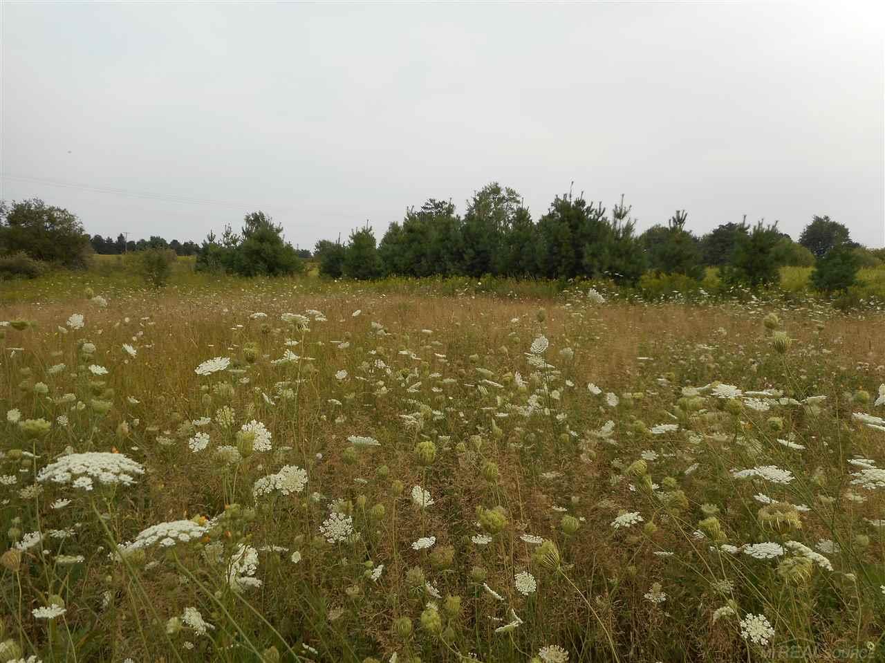 Vl Jordan Road Melvin, MI 48454 - Photo 1 of 22