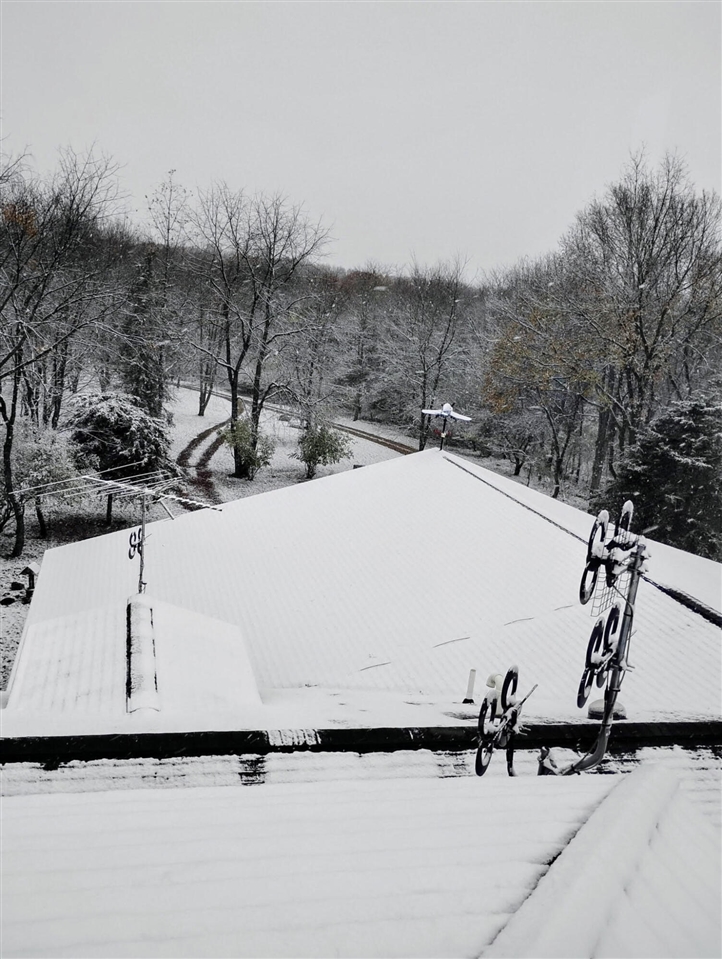 781 Hopkins Road Lyons, MI 48851 - Photo 96 of 99