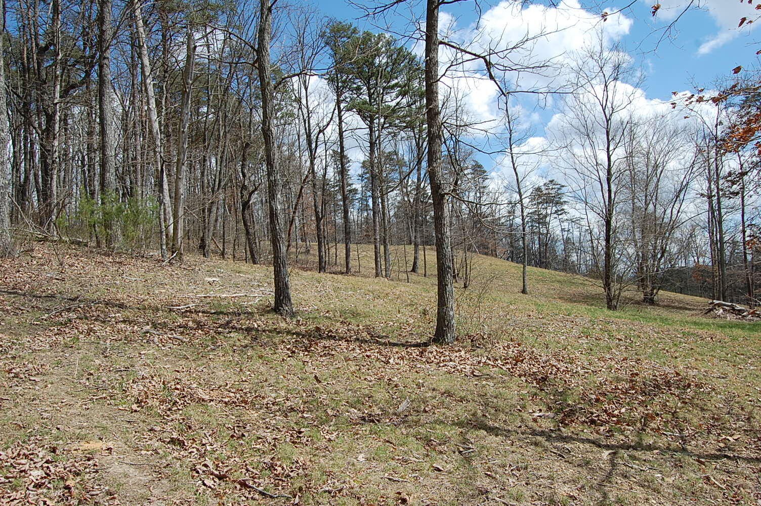 0 Bennie Camp Road Dunlap, TN 37327 - Photo 11 of 32 Gallery Image 11